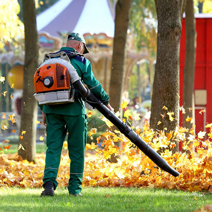 fall cleanup